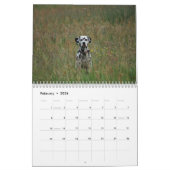 molo 2010 kalender (Feb 2026)