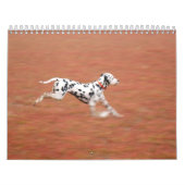 molo 2010 kalender (Hoes)