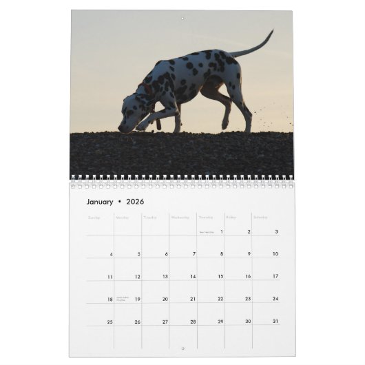 molo 2010 kalender (Jan 2026)