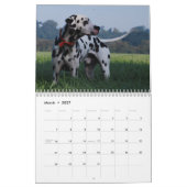 Molo Kalender (Mar 2027)