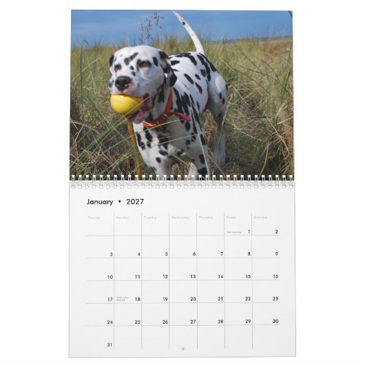 Molo Kalender (Jan 2027)
