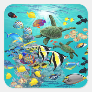 Molokini Cove Hawaiian Tropical Fish Zee Turtle Vierkante Sticker