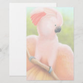 Moluccaanse katoenfabriek briefpapier (Voorkant / Achterkant)