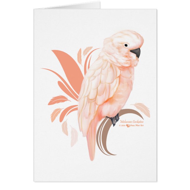 Moluccan Cockatau (Voorkant)