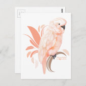 Moluccan Cockatau Briefkaart (Voorkant / Achterkant)