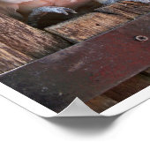 Moluccan Cockatau Poster (Hoek)