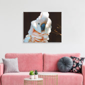 Molukse Kaketoe Canvas Afdruk (Insitu (Woonkamer))