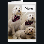 MOM IS WISHED A **HAPPY BIRTHDAY** BY 3 PUPS<br><div class="desc">THESE 2 PUPS WILL TELL *YOUR MOM* THAT THEY HOPE HER *BIRTHDAY* IS AS SPECIAL AS THE TREATS THAT SHE GIVES THEM... AND SEE THE **MOTHER'S DAY CARD** I CREATED EXACTLY LIKE THIS CARD IF YOU WISH</div>