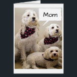 MOM IS WISHED A **HAPPY BIRTHDAY** BY 3 PUPS<br><div class="desc">THESE 2 PUPS WILL TELL *YOUR MOM* THAT THEY HOPE HER *BIRTHDAY* IS AS SPECIAL AS THE TREATS THAT SHE GIVES THEM... AND SEE THE **MOTHER'S DAY CARD** I CREATED EXACTLY LIKE THIS CARD IF YOU WISH</div>