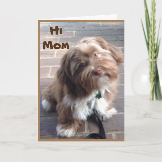 **MOM** OP UW GROTE DAG VAN JONGE KIND KAART (Voorkant)