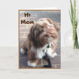 **MOM** OP UW GROTE DAG VAN JONGE KIND KAART