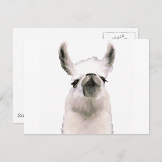 Moma Llama Briefkaart (Voorkant / Achterkant)