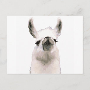 Moma Llama Briefkaart