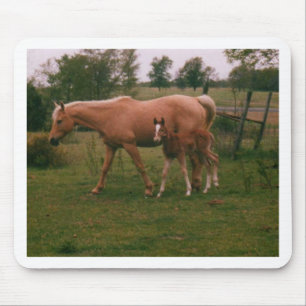 Moma paard en baby paard muismat