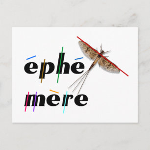 momentane ephemeer briefkaart