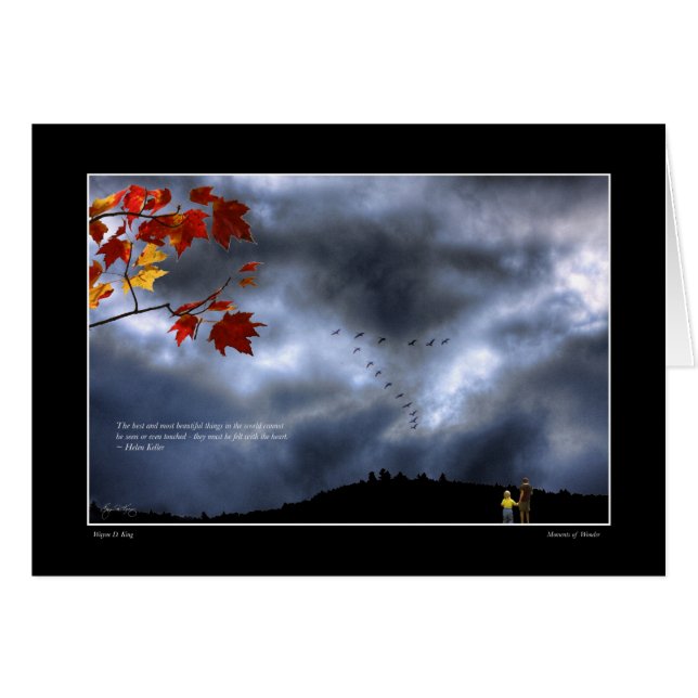 Momenten van verwondering (Voorkant Horizontaal)