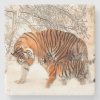 Momma en Baby Tiger
