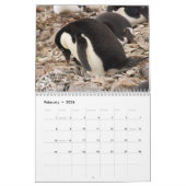 Momma en Me Animal Calendar Kalender (Feb 2026)