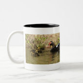 Momma et bébé canards Mug (Gauche)