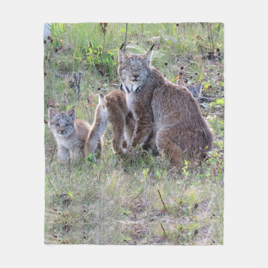 Momma Lynx en Babies Fleece Deken (Voorkant)