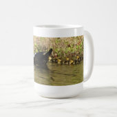 Momma Muscovy et Baby Ducks Mug (Devant droit)