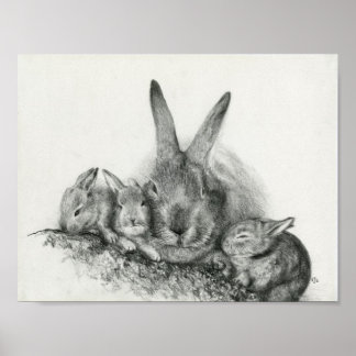 Momma Rabbit with Baby Bunnies Pencil Tekening Poster