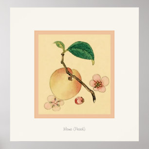 Momo (peach) ~  Japans kunstwerk Poster