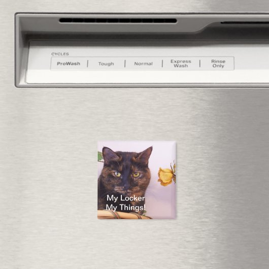 MON aimant DE VERROUILLAGE (In Situ (Lave-vaisselle))