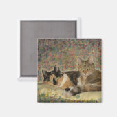 Mon aimant Sweet Kitties (Recto/Verso)