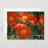 Mon Ame Briefkaart (Voorkant / Achterkant)