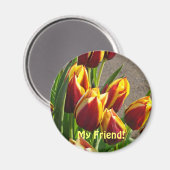Mon ami ! aimant Rouge Jaune Tulipes Fleurs de pri (Recto/Verso)