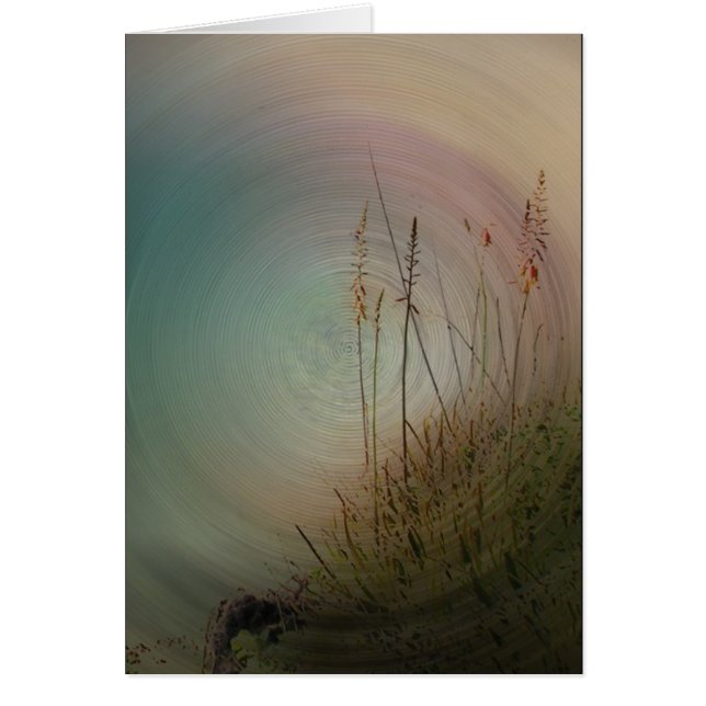 Mon amour pour vous (Devant)