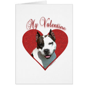 Mon AmStaff Valentine