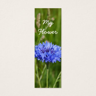 Mon beau paquet bleu de signet de bleuet de fleur