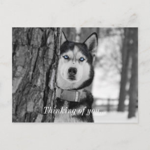 Mon Bébé Bleu Yeux Penser À Vous Carte Postale