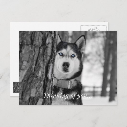 Mon Bébé Bleu Yeux Penser À Vous Carte Postale (Devant / Derrière)