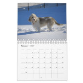 Mon calendrier de la vie 2017 de GBGV (Feb 2027)