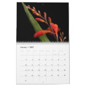 Mon calendrier photographique (Jan 2027)