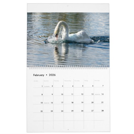 Mon calendrier Spring Grove (Feb 2026)