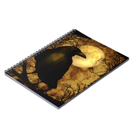 Mon carnet de Raven (Côté gauche)