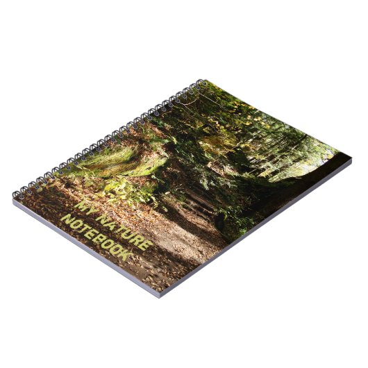 Mon Carnet naturel (Côté gauche)