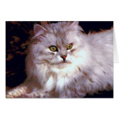 Mon chat (Devant horizontal)