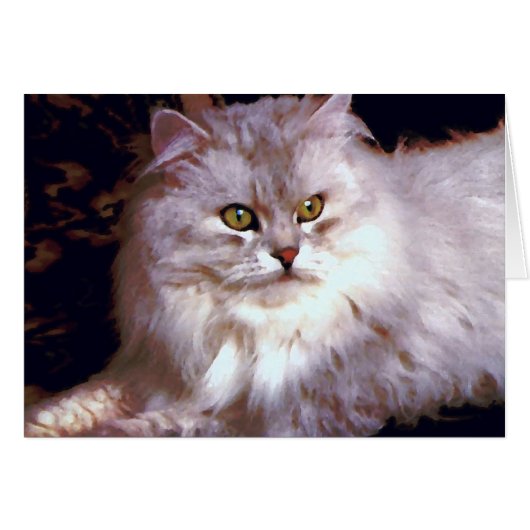 Mon chat (Devant horizontal)