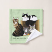 Mon chat a des chats (Gant de toilette)