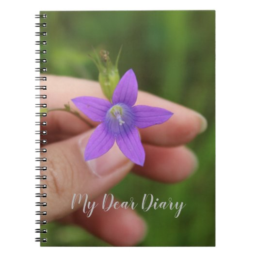 Mon Cher Journal (Devant)