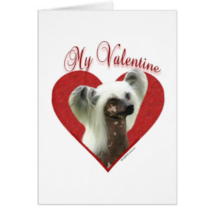 Mon Chinois Crested Valentine