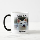 Mon clébard ma tasse mes amis. (Gauche)