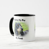 Mon clébard ma tasse mes amis. (Devant gauche)