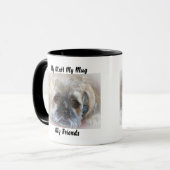 Mon clébard ma tasse mes amis. (Devant gauche)