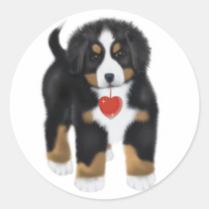 Mon coeur de MadDog est à vous des autocollants